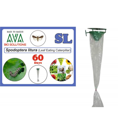 Ava Combo Pack of Funnel Pheromone Trap + SL Lure Ava Combo Pack of Funnel Pheromone Trap + SL Lure